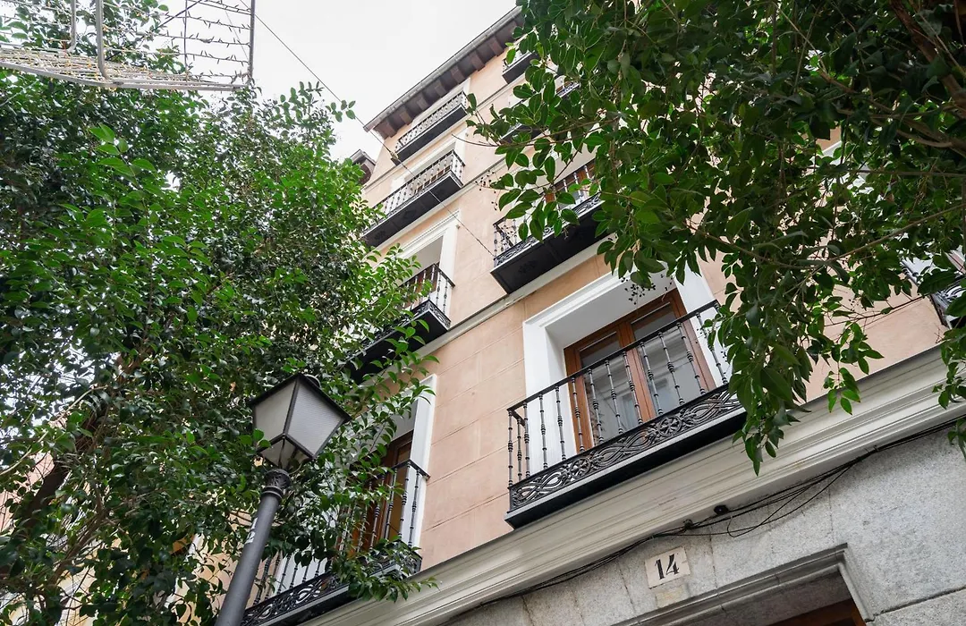 Dobo Madrid Luna-1
